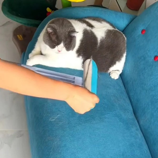 “Tired of Pet Hair Everywhere? Remove It in Seconds with FurAway Pro™”